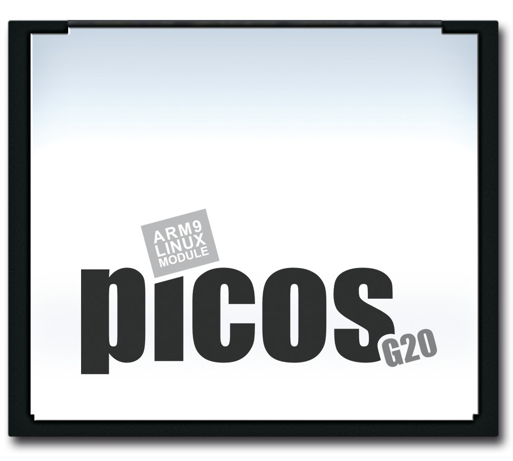 PicosG20